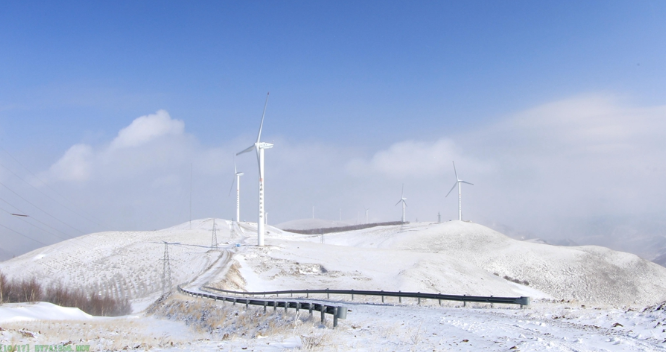 �й�����������(304am-VIP��֤)����-Official Platform