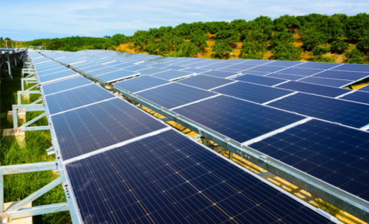 �й�����������(304am-VIP��֤)����-Official Platform