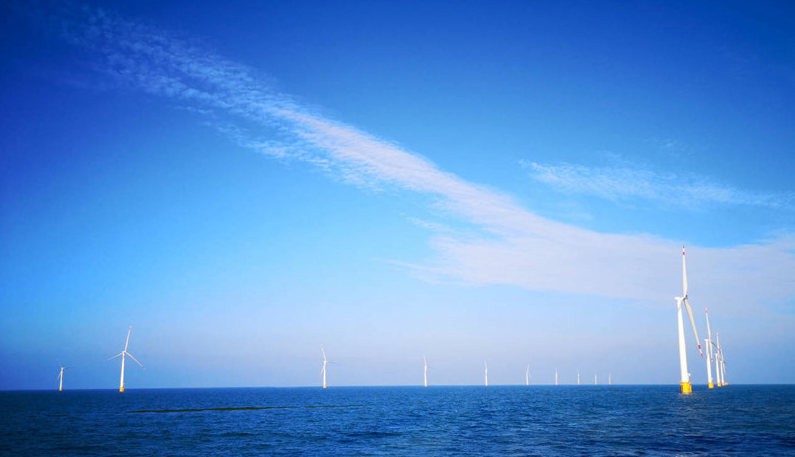 �й�����������(304am-VIP��֤)����-Official Platform