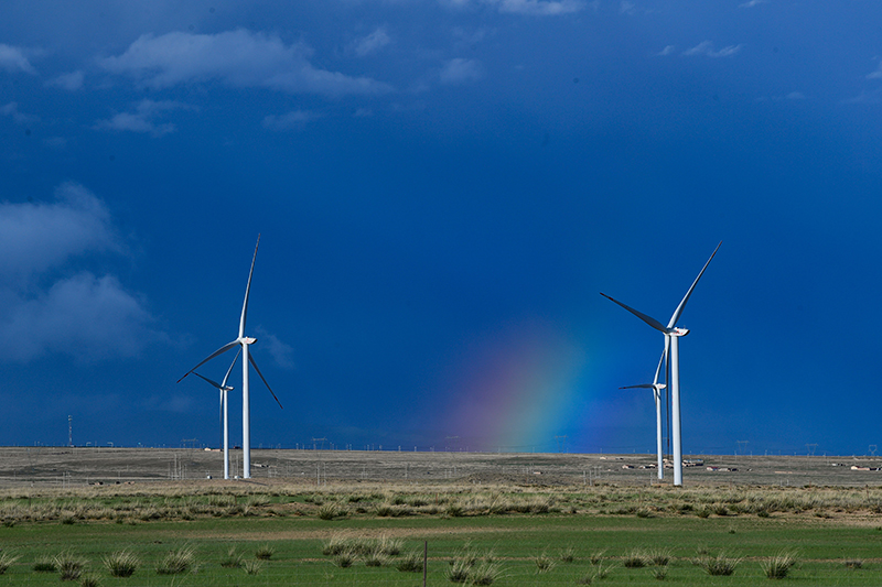 �й�����������(304am-VIP��֤)����-Official Platform