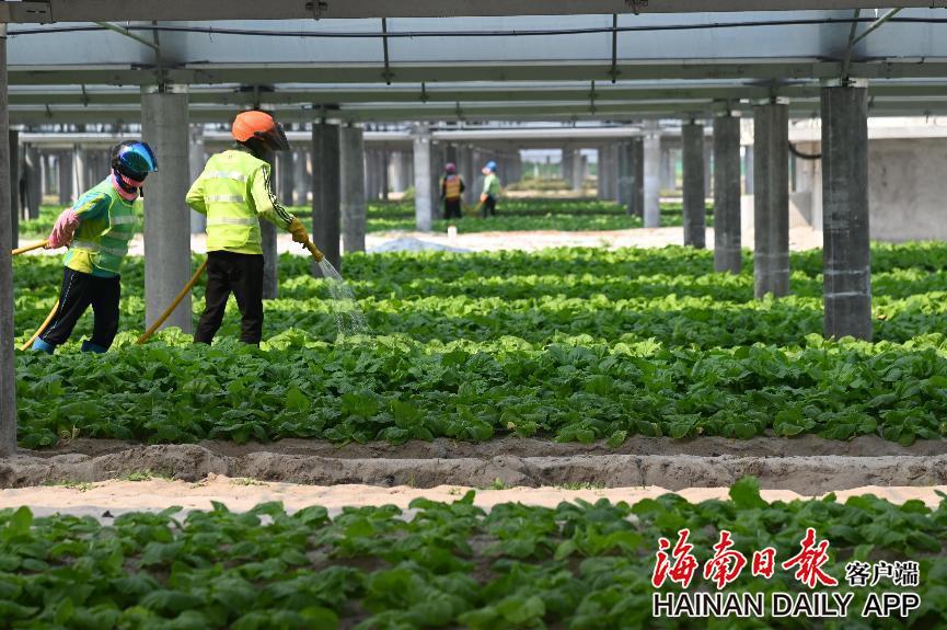 й(304am-VIP֤)-Official Platform