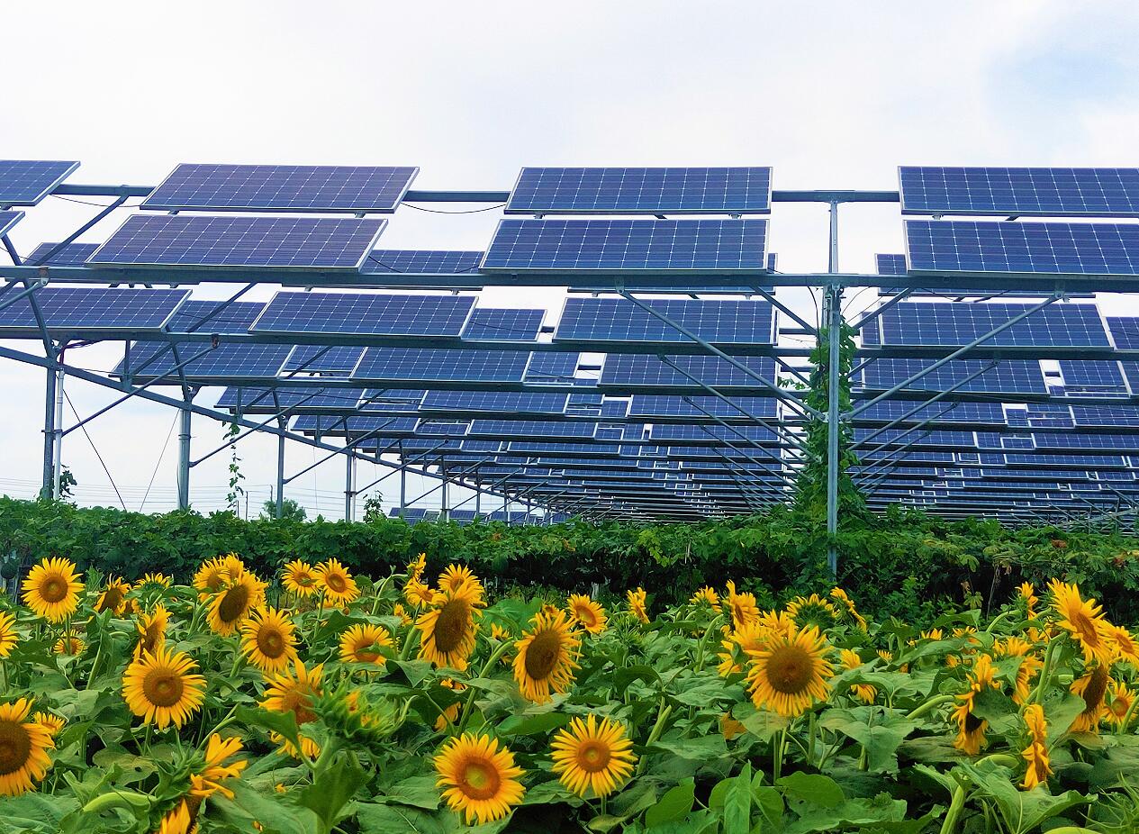 й(304am-VIP֤)-Official Platform