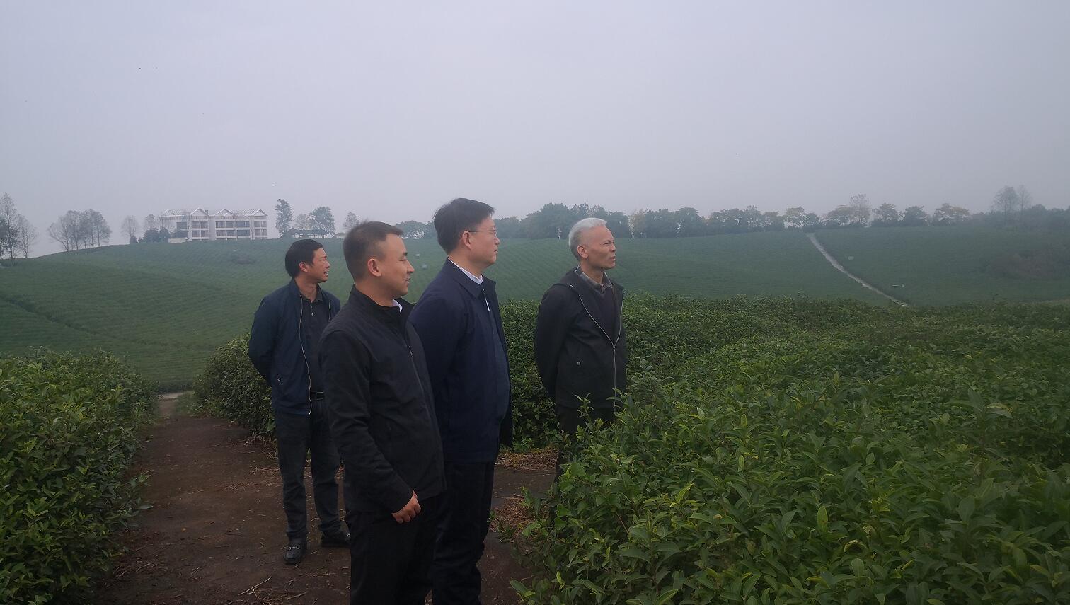 中国·永利集团(304am-VIP认证)官网-Official Platform