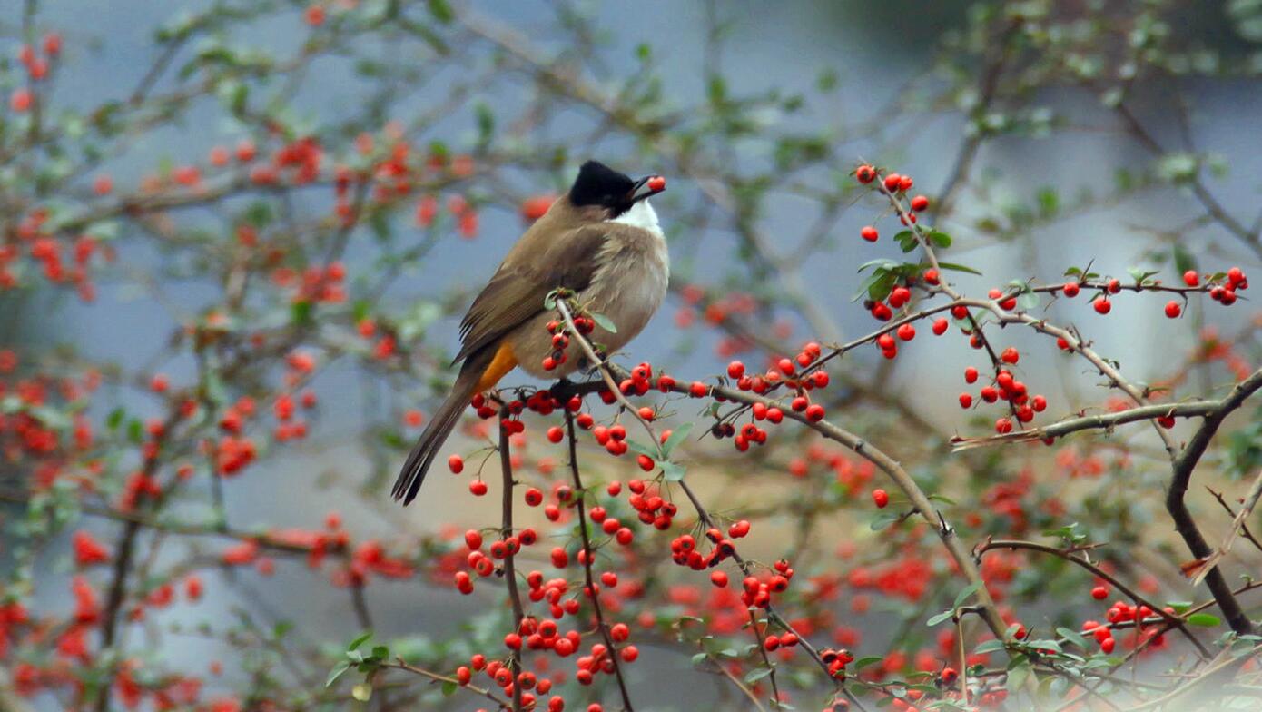 й(304am-VIP֤)-Official Platform