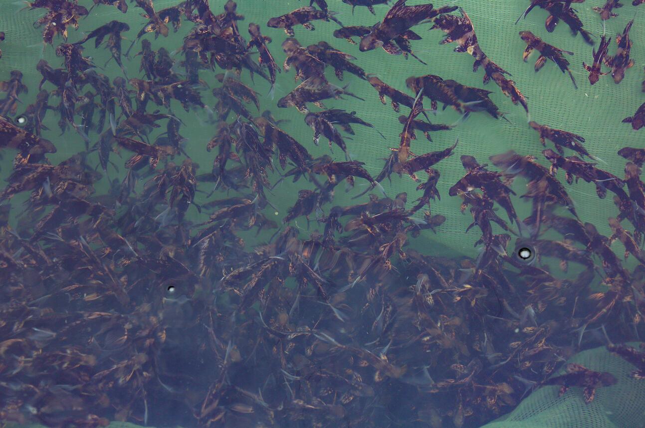 й(304am-VIP֤)-Official Platform