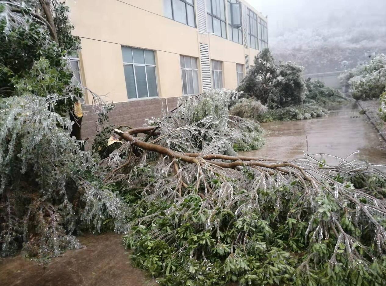 й(304am-VIP֤)-Official Platform