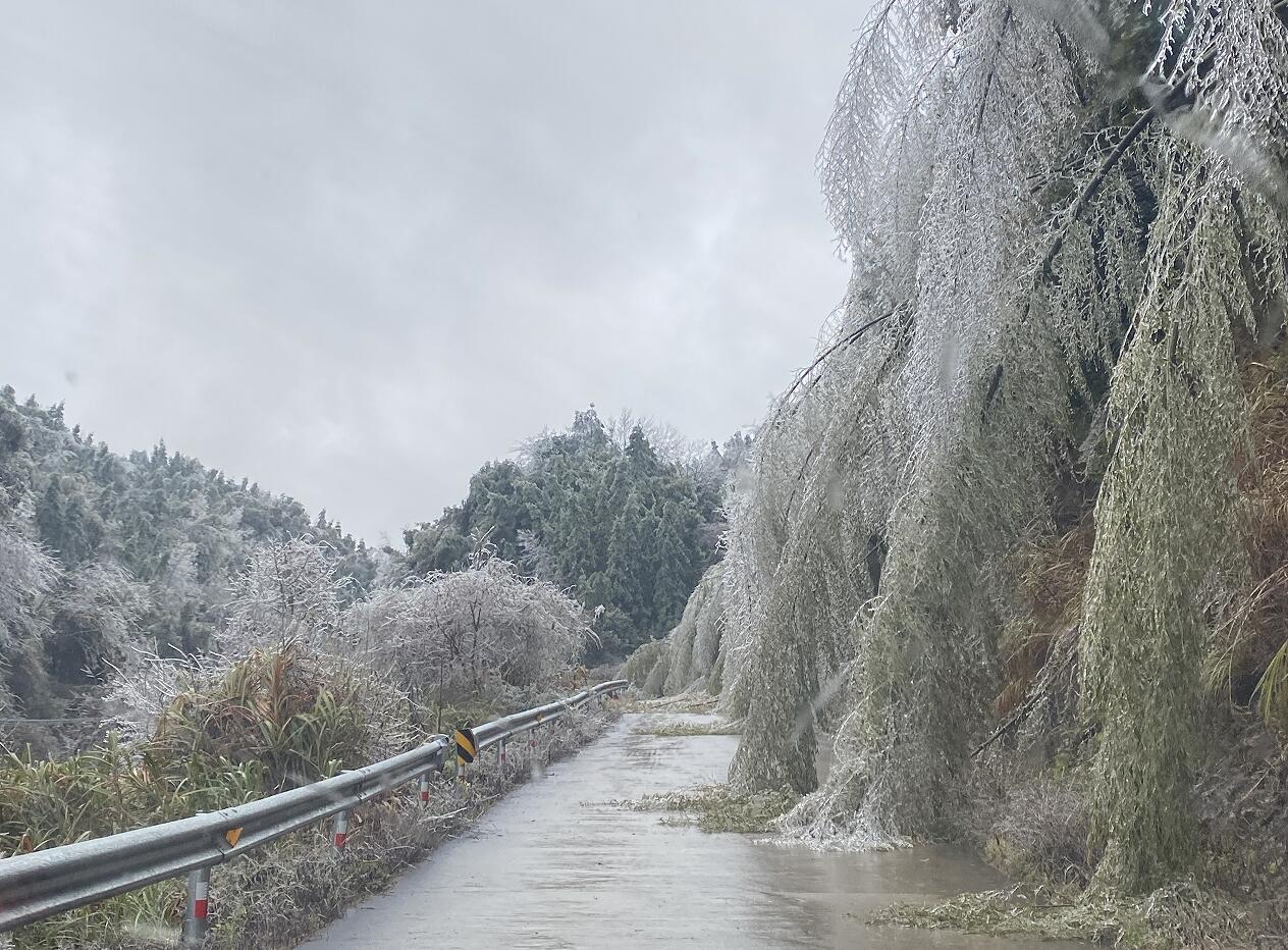 й(304am-VIP֤)-Official Platform