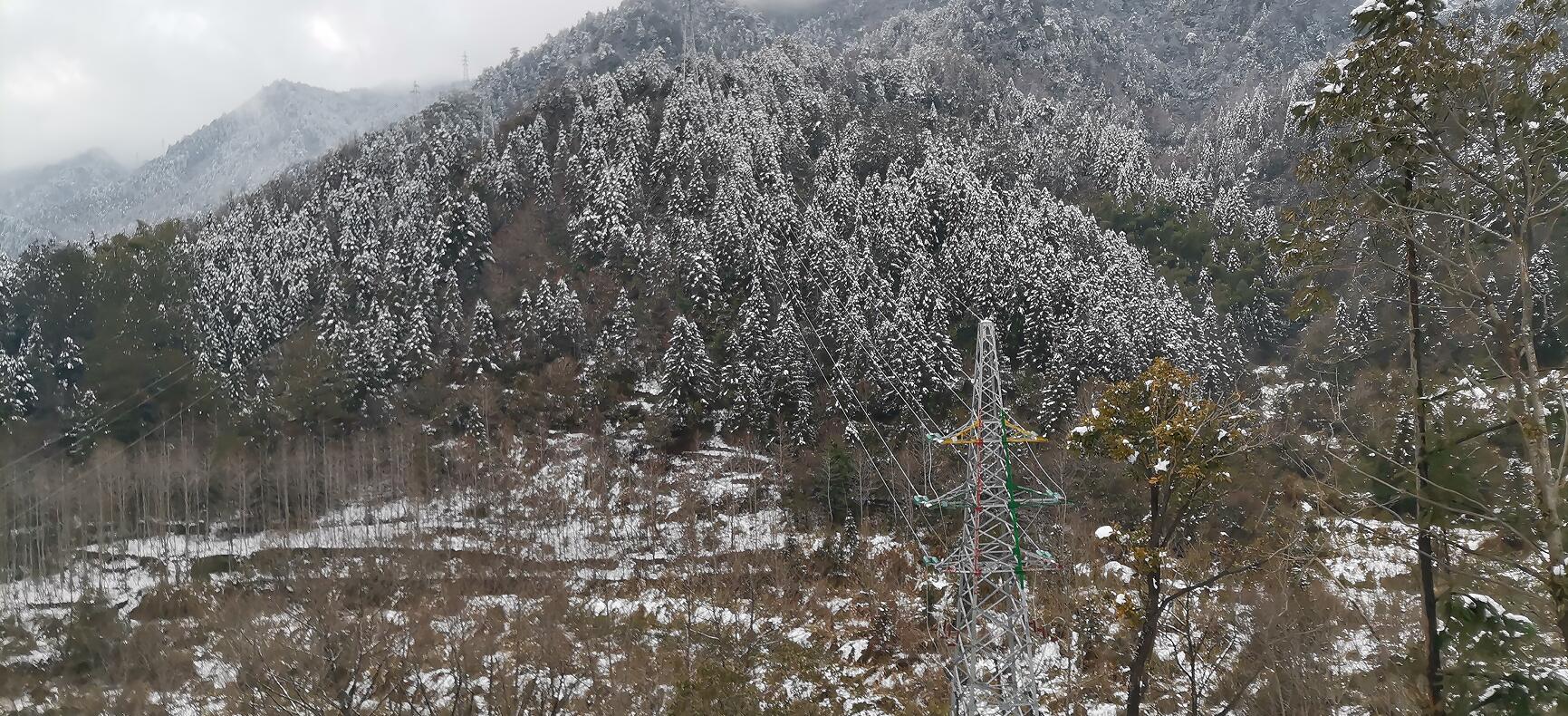 й(304am-VIP֤)-Official Platform