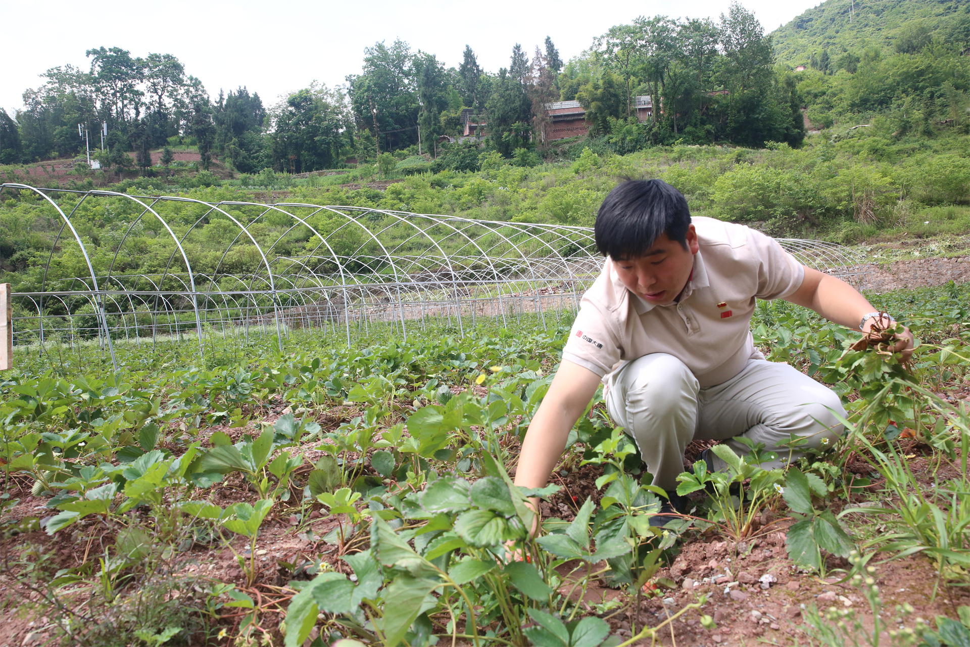 й(304am-VIP֤)-Official Platform