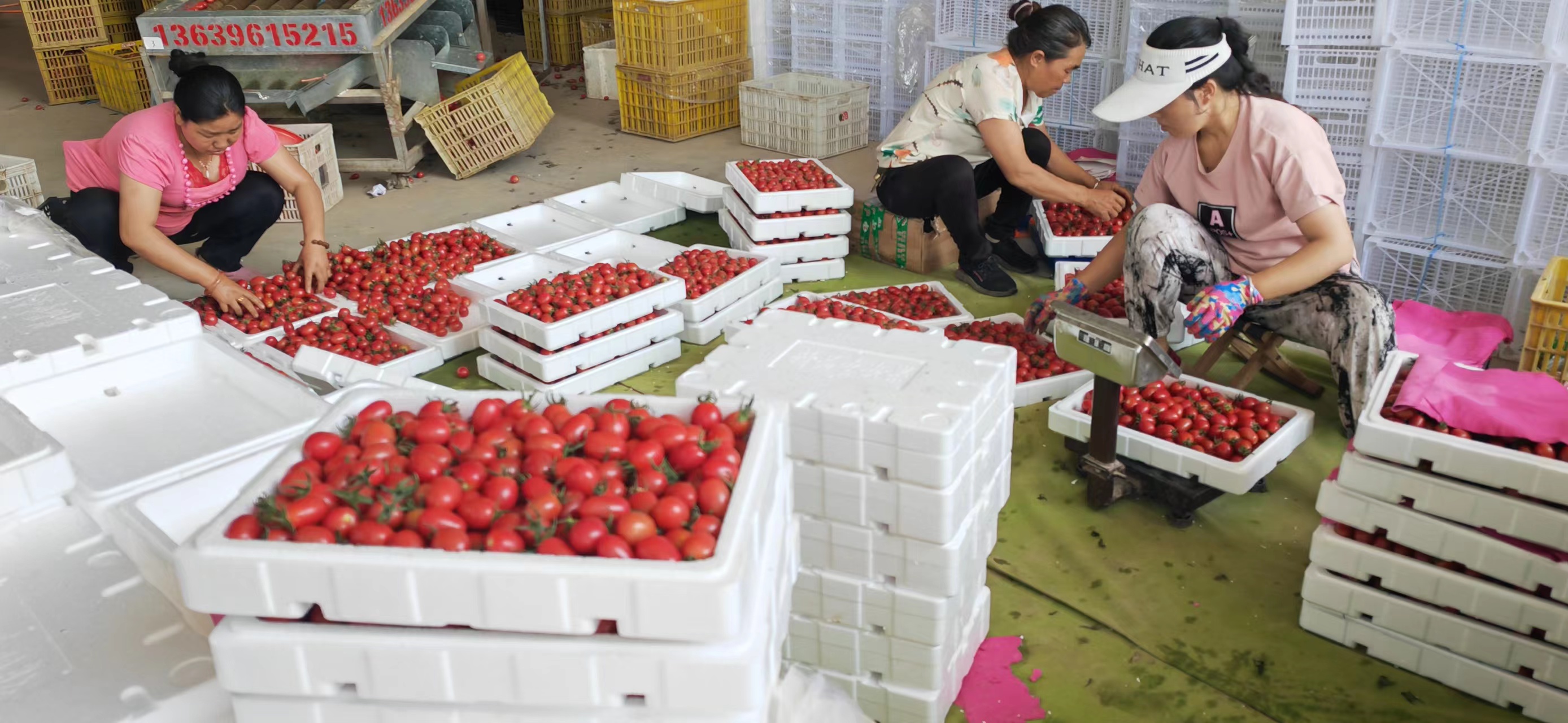 中国·永利集团(304am-VIP认证)官网-Official Platform