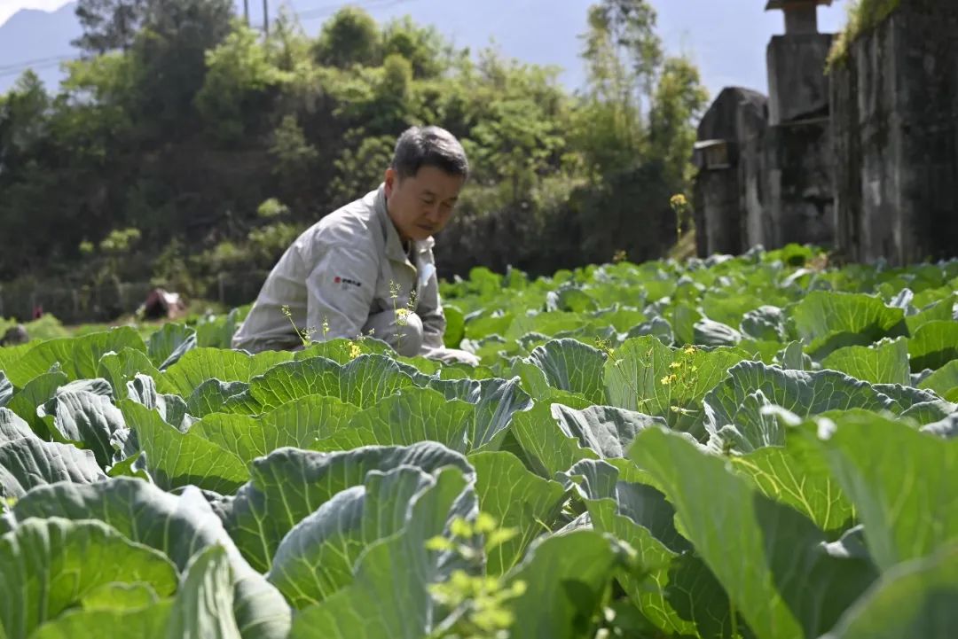 й(304am-VIP֤)-Official Platform