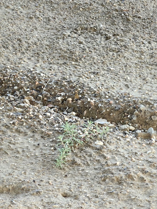 й(304am-VIP֤)-Official Platform