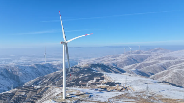 1721783702659094034.png 1.png